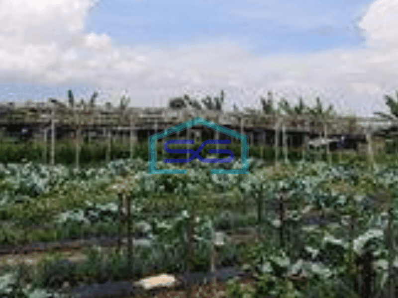 Dijual Murah banget, kavling view bagus di Setiabudi Regency, Bandung