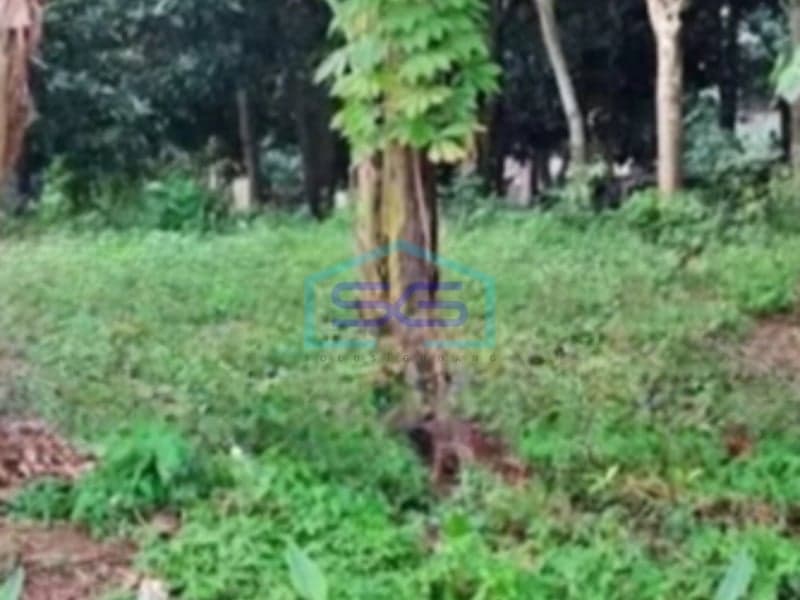 For Sale Land 2466 sqm Semarang Central Java