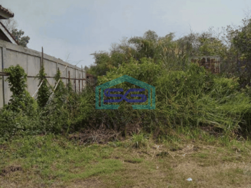 Dijual Tanah Murah Tigaraksa Tangerang  Harga Nego Lokasi Bagus