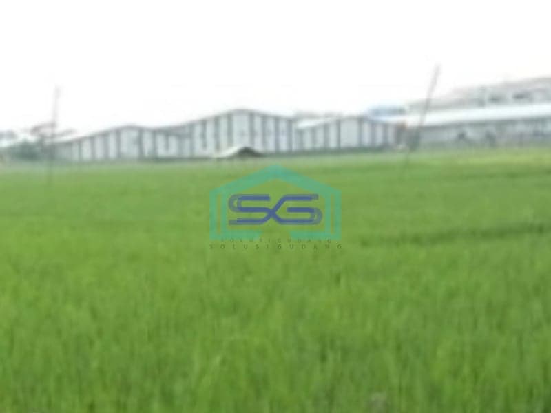 Dijual Tanah Lokasi Bebas Banjir di Pinggir Jalan Raya Subang Jawa Timur