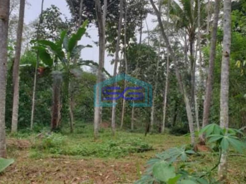 Dijual Tanah di Tengah Kota Salatiga Luas 2536 m²