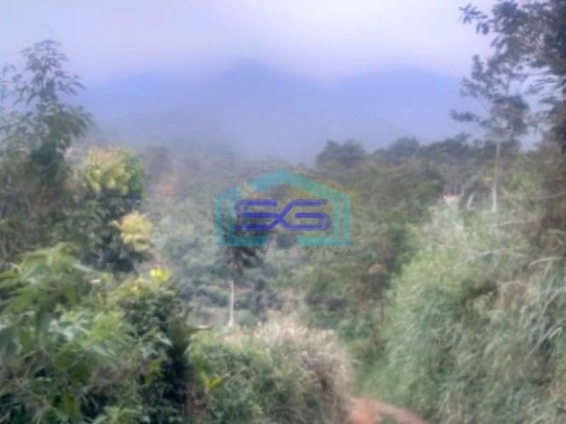 Dijual Tanah Cigombong Bogor Luas Tanah 12000m2 SHM