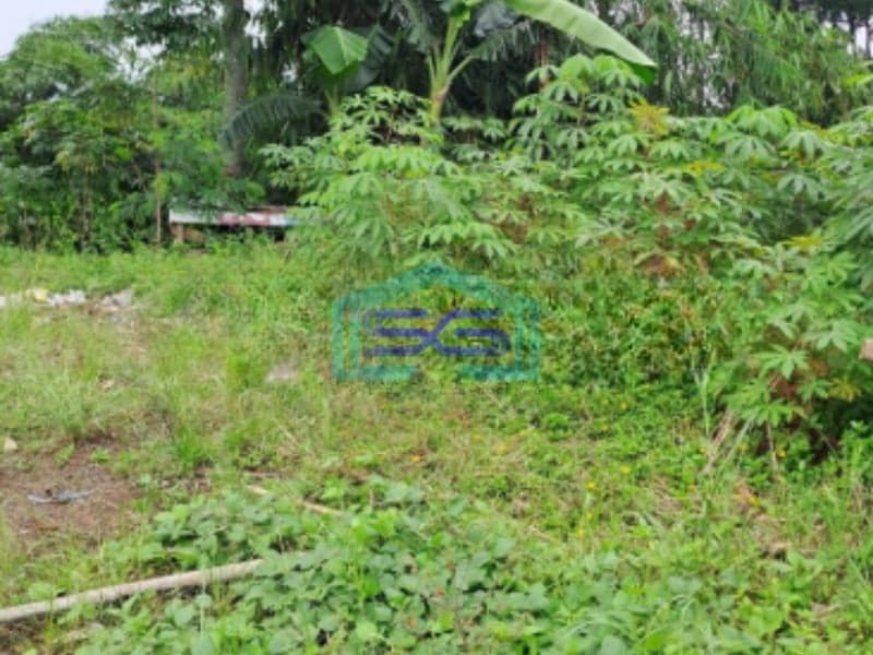 Dijual Tanah Jalan Raya Desa Bojongkoneng Bogor Cocok Untuk Usaha