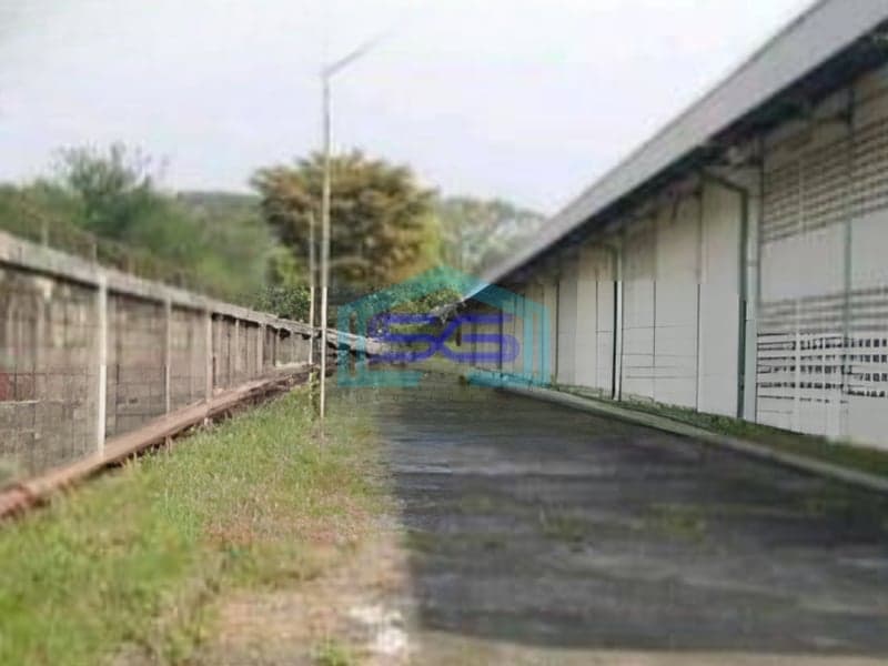 Disewakan Gudang Strategis Kawasan Industri Dekat Tol Di Gunung Putri Bogor