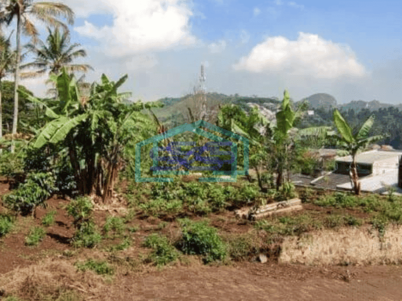Dijual Tanah Murah Cocok Cluster Kecil Dan Berkebun di Padalarang