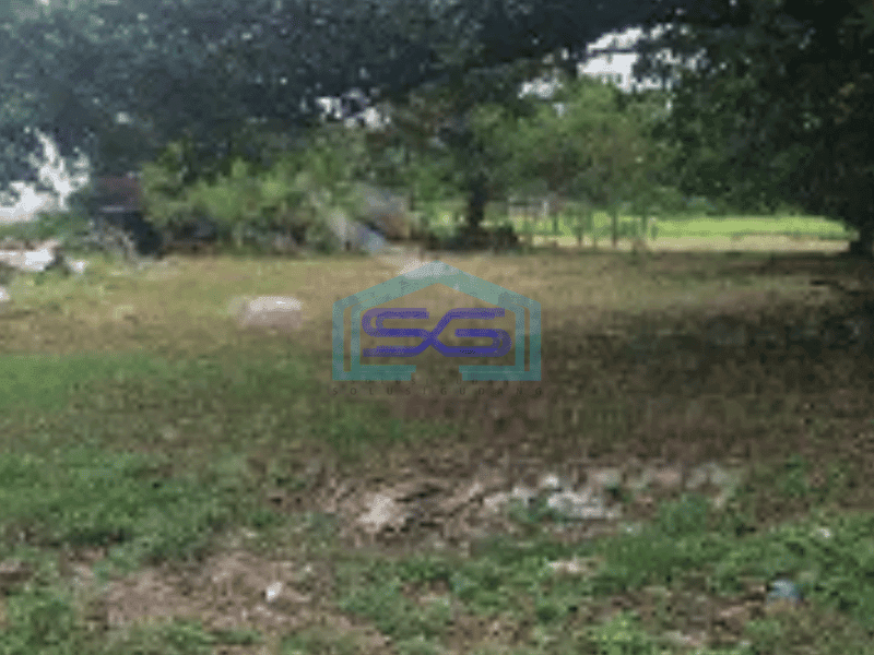 Dijual Pabrik di Semarang LT 38000m2