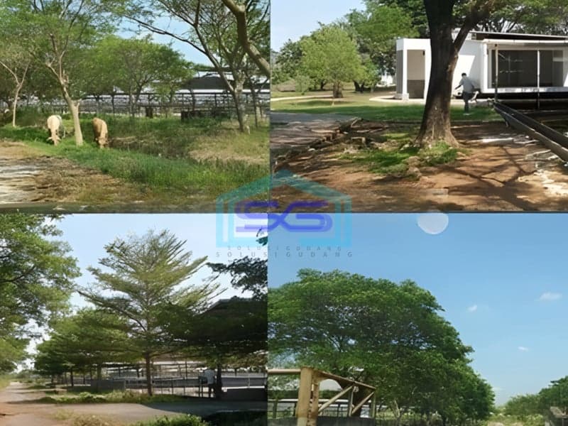 Dijual Tanah di Lokasi Strategis Pabuaran Subang Jawa Barat LT 528000m2