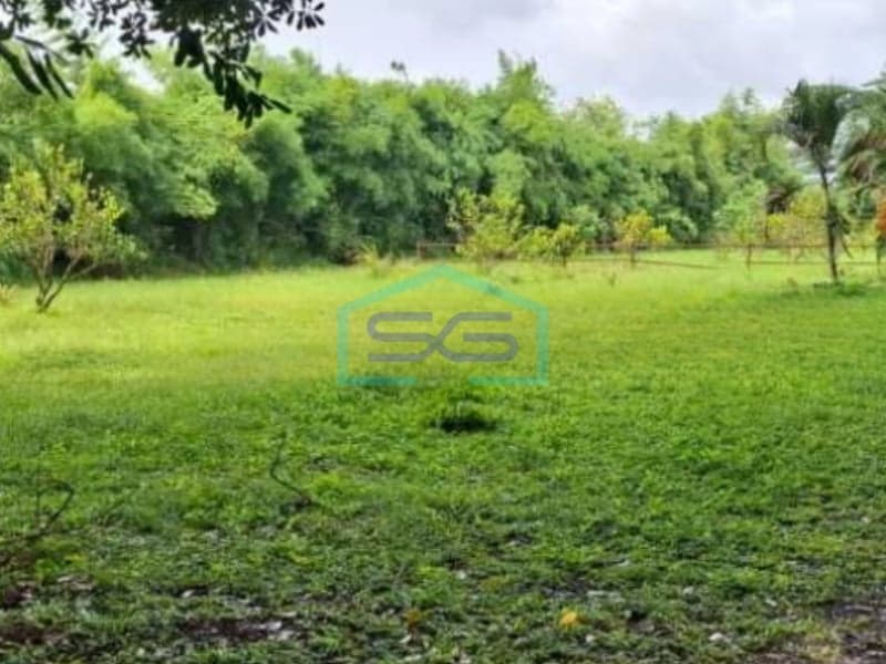 Dijual Tanah Dipinggir Jalan Raya Cikande Serang Luas 400 Hektar