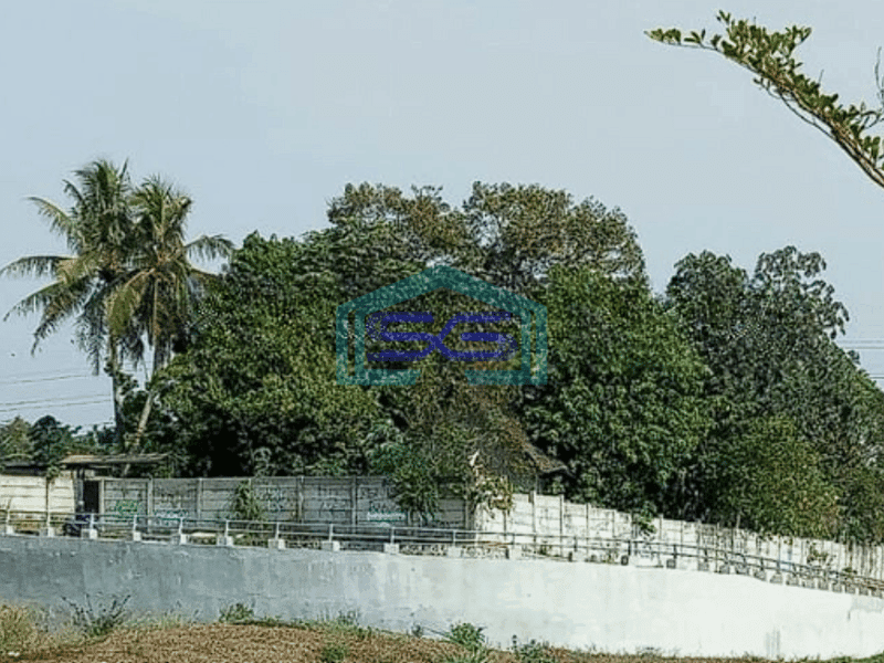 Dijual Tanah Kavling Komersil Dekat Bsd Pinggir Jalan Raya Kadusirung Tangerang Luas 2000m2