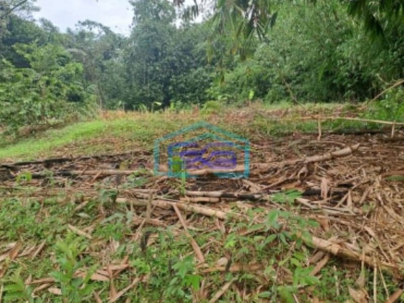 Dijual Tanah Strategis di Daerah Mekarsari Rumpin Bogor Luas Tanah 2800m2