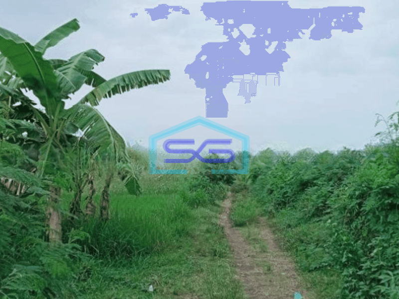 Dijual tanah di bali
