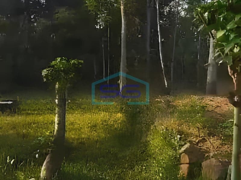 For Sale Ready-to-Use Land in Boyolali Central Java 20,000 sqm