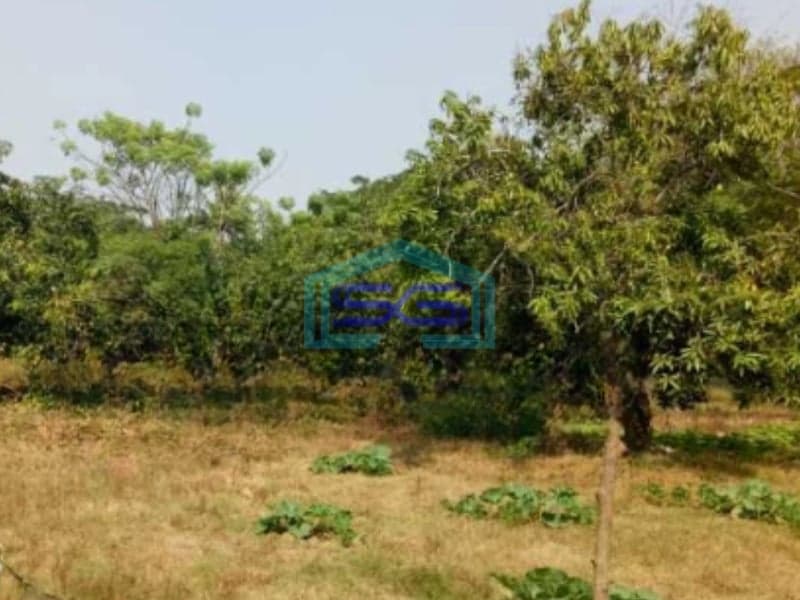 Dijual Cepat Tanah Luas 4950 m²  Lokasi di Karawang Jawa Barat