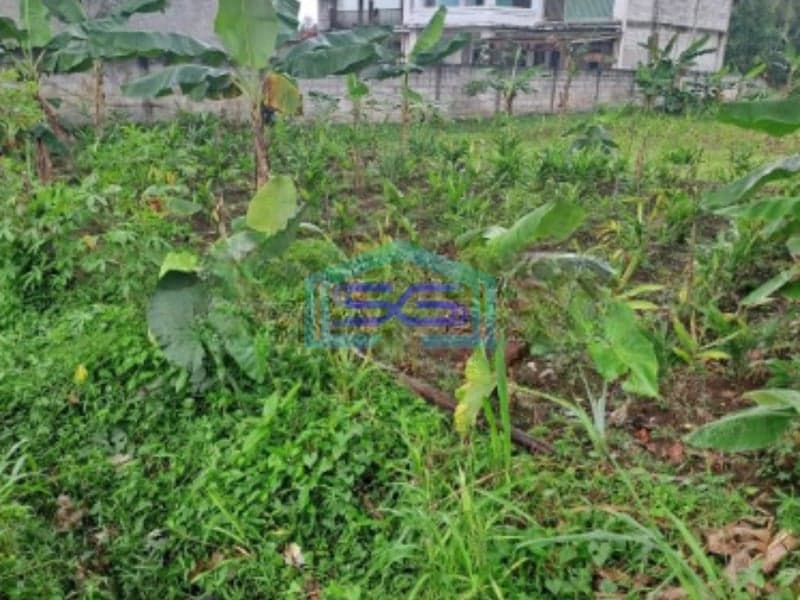 Dijual Tanah di Area Rumpin Bogor Luas Tanah 1000m2 Depan Jalan Raya