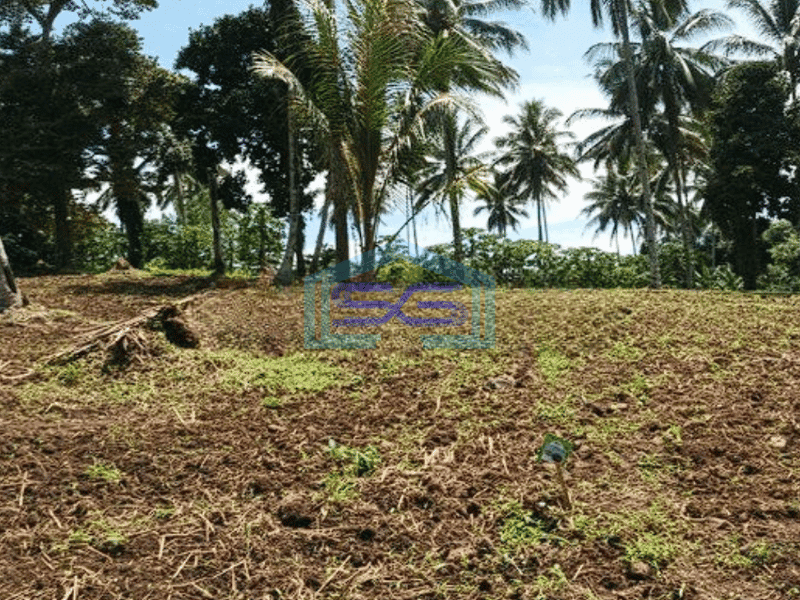 Dijual Tanah Luas 11 Ha Jl Raya Manado Bitung Desa Kaima Pas Buat Pergudangan