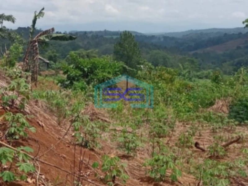 Dijual Tanah Strategis di Cibadak Sukabumi Luas Tanah 120000m2