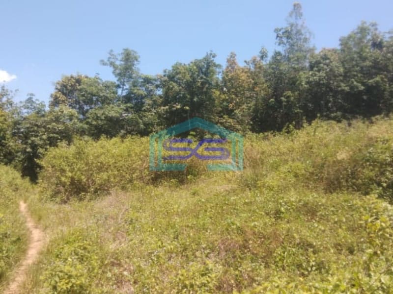 Dijual Tanah Strategis di Palembang Sumatera Selatan Luas 50000m2