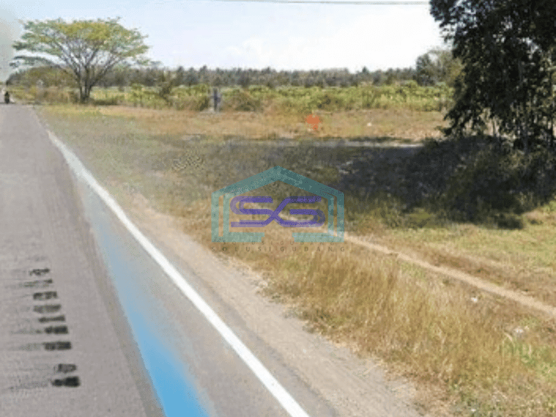 Dijual Tanah Luas  5100 m² Harga Nego di Purwodadi Purworejo