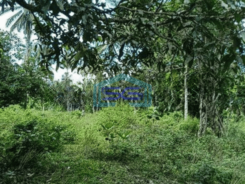 Dijual Tanah Luas 5Ha di Manado Cocok Buat Gudang Kantor