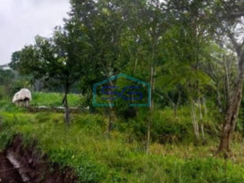 Dijual Tanah Luas 4632 m² Lokasi Salatiga Sertifkat SHM
