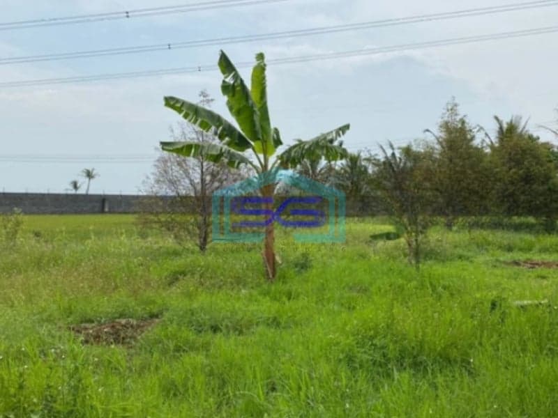 Dijual Gudang Luas Tanah 22000m2 Lokasi Strategis di Majalaya Bandung
