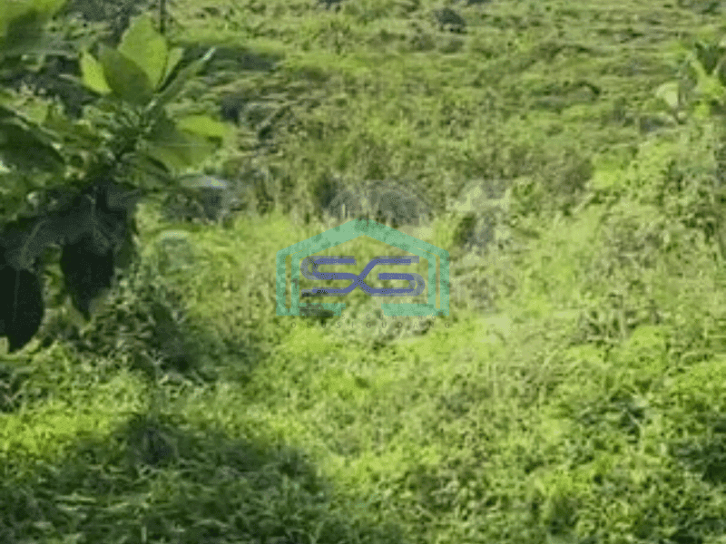 Dijual Tanah Lokasi di Halambang Sentul Bogor Luas 100Ha
