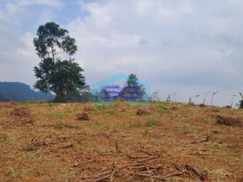 Dijual Tanah Di Sentul Citeureup Bogor Luas Tanah 105 Hektar