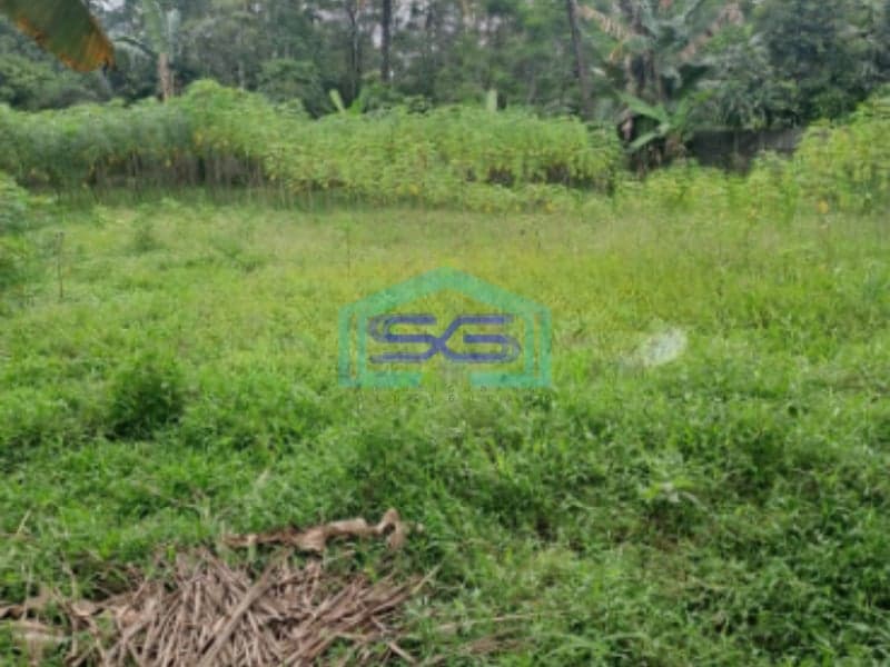 Dijual Tanah Di Cipinang Rumpin Bogor Jawa Barat Luas 15000m2