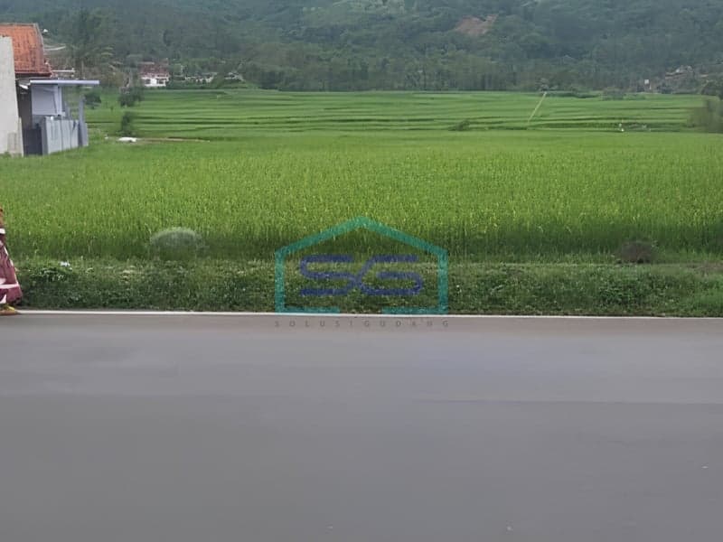 Cheap Rice Paddy Land for Sale in Garut West Java Land Area 854 m²