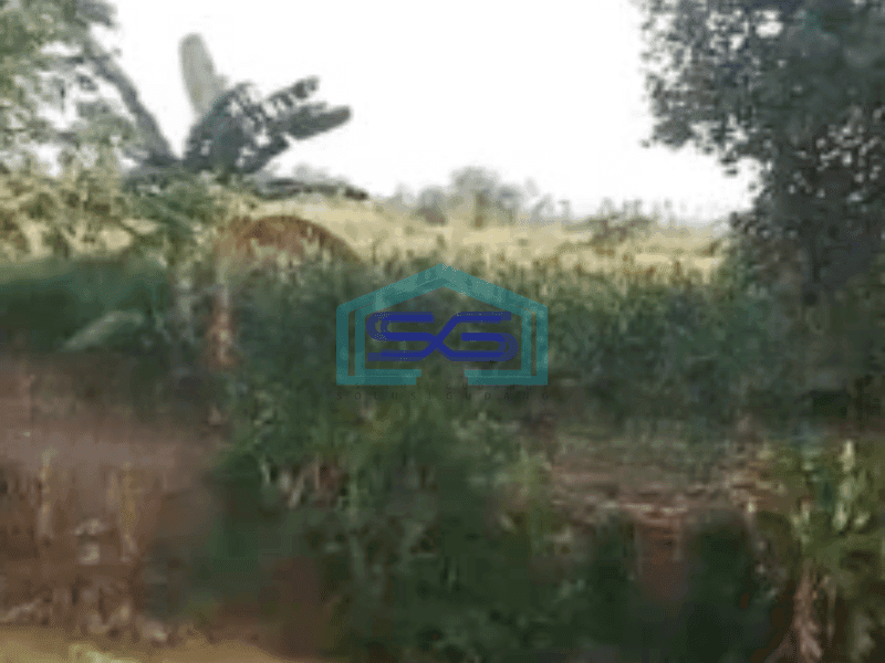 Dijual Tanah Lahan Strategis Zona Industri Lokasi Semarang Luas 24460m2