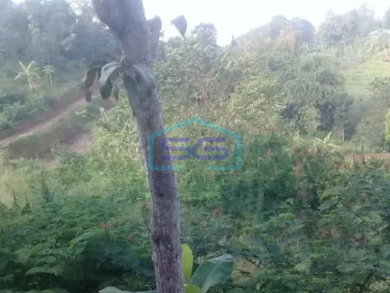 Dijual Tanah Desa Cimenyan Bandung Jawa Barat