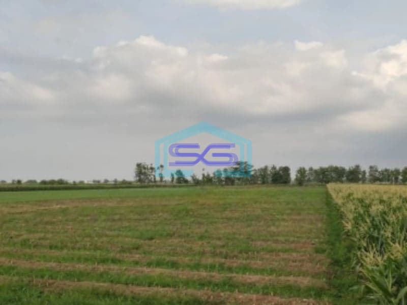Dijual Tanah Lokasi Strategis SHM Luas 16500m² di Ciledug Cirebon