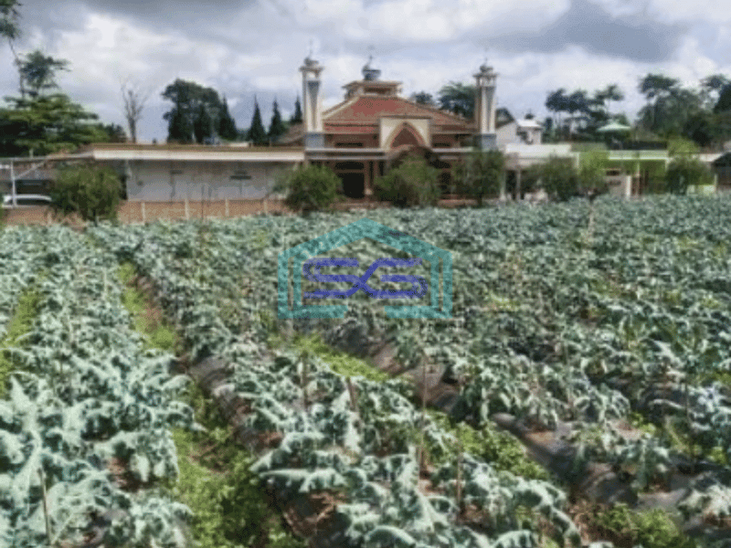 Dijual Tanah Di Lembang dekat The Lodge Dan Fairy Garden Maribaya Luas Tanah 8750 m²