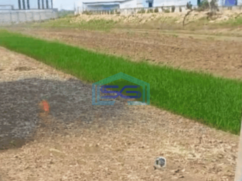 Dijual Tanah Industri Strategis Lokasi Mranggen Demak Luas 4638m2