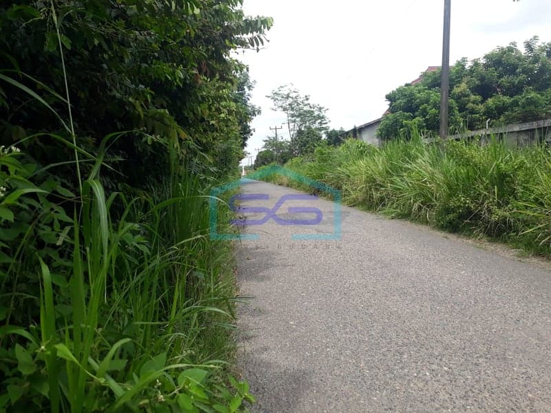 特价地皮出售 巨港地区 南苏门答腊 省 土地面积19980平方米