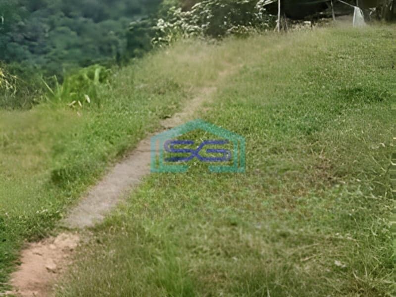 Dijual Tanah Pegunungan Shm Di Jl Raya Banyubiru Semarang LT 40300m²