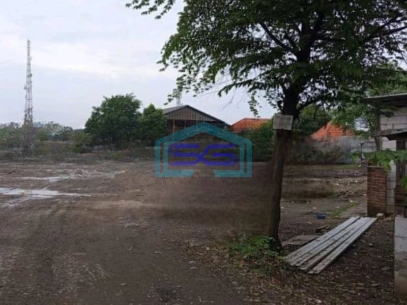 Dijual Tanah Luas 10000 m² Lokasi Bebas Banjir di Sidoarjo