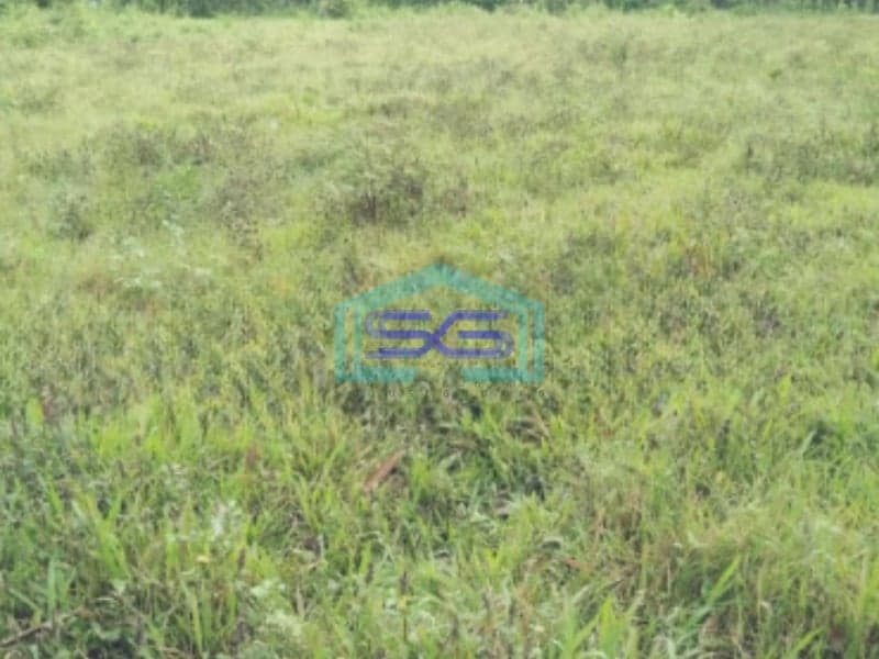 Dijual Tanah Murah Luas 4500 m² Lokasi di Tangerang