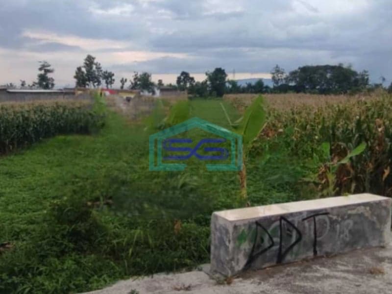 Dijual Tanah Sawah Di Mlese, Ceper, Klaten, Jawa Tengah Luas Tanah 1950 m²