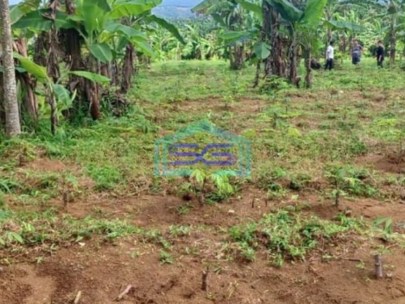 Dijual Tanah Parakan Salak Sukabumi Luas Tanah 4750m2