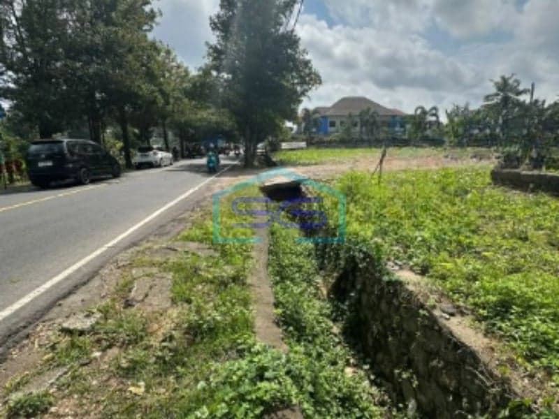 Land for Rent on High-Traffic Main Road Ideal for Business in Ubud Gianyar Bali Land Area 3100sqm
