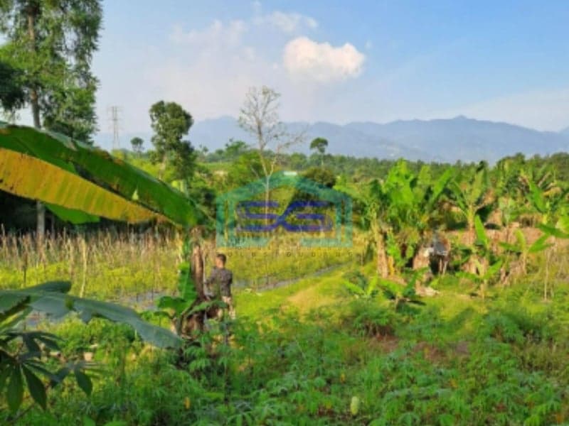 Dijual Tanah Garpan Pasir Angin Cipayung Bogor Luas Tanah 7000m2