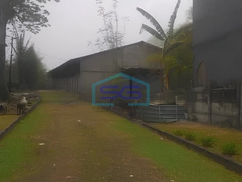 Price Reduced Warehouse for Sale on Cileungsi Main Road, Bogor West Java Land Area 10770m²