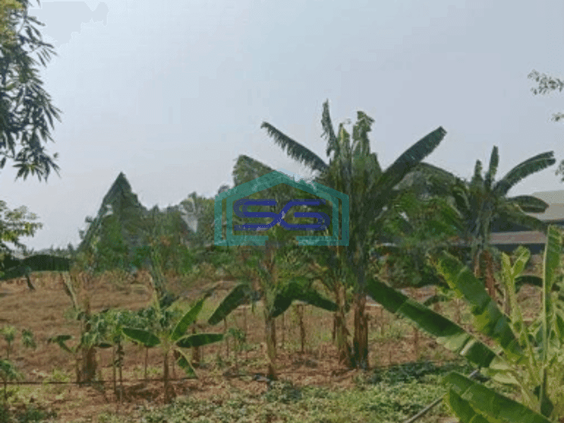 Dijual Tanah di Pasar Kemis Tangerang Cocok Untuk Gudang Luas Tanah  11000 m²