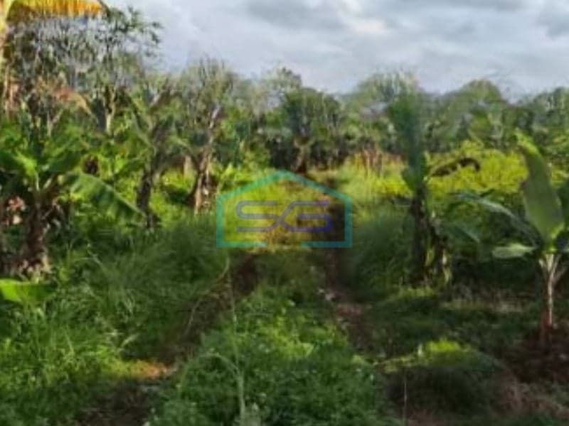 Dijual Tanah Luas 40000 m² Lokasi Bebas Banjir di Jatake Tangerang