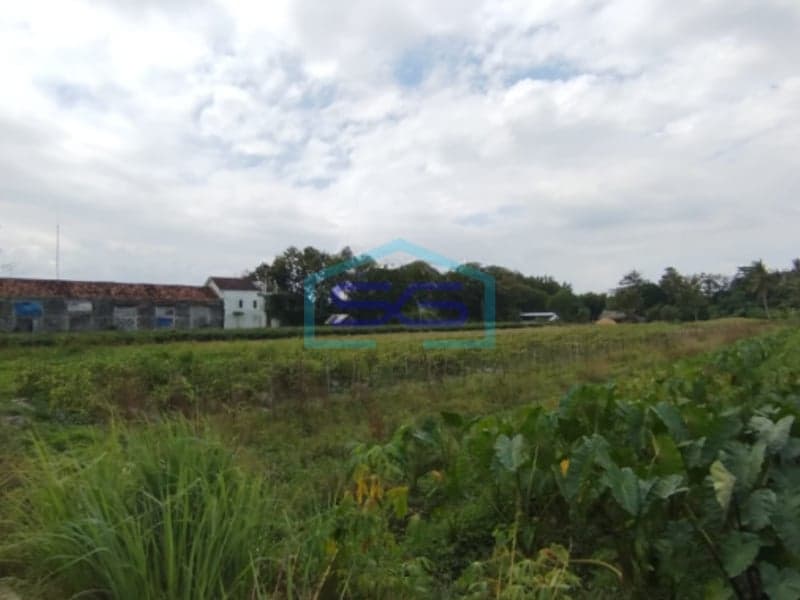 Dijual Tanah di Jalan Gamol Raya Balecatur, Sleman LT 1.909m2