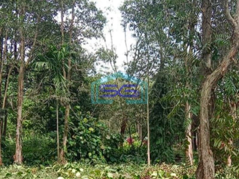 Dijual Tanah Murah di Jalan Pesona Sematang Borang Palembang LT 1100m2