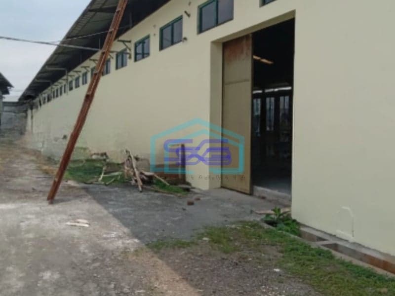 Disewakan Gudang Lokasi Bebas Banjir luas Banguann 7291 m² di Buaran Pekalongan