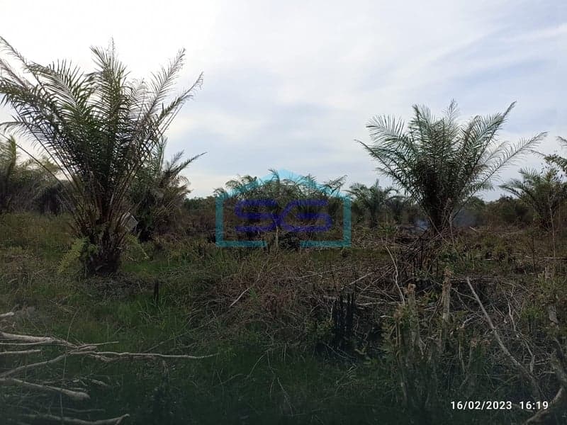 Land for Sale Ogan Ilir Regency, South Sumatra Land Area 4.5 Ha