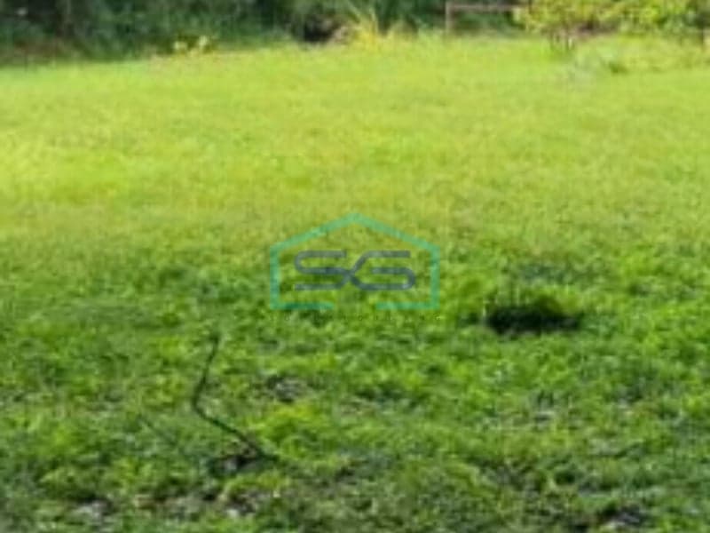 Land for Sale in Flood-Free Location, Serang Banten